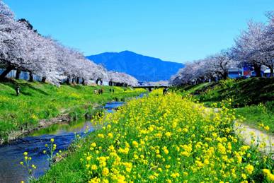 春の風景