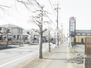 ６月の飯嶋院長のひとりごと