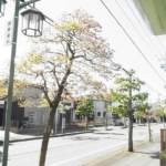 ７月の飯嶋院長のひとりごと