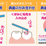 日々これ精進！ブラッシングのコツ③