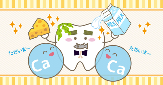 歯を丈夫にするカルシウム