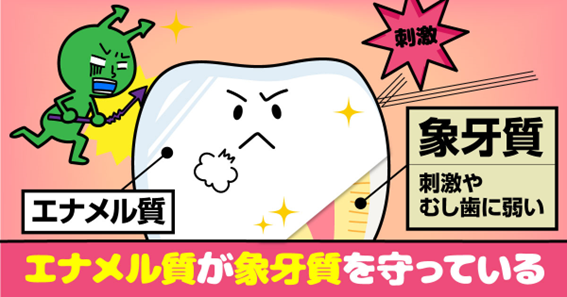 エナメル質形成不全