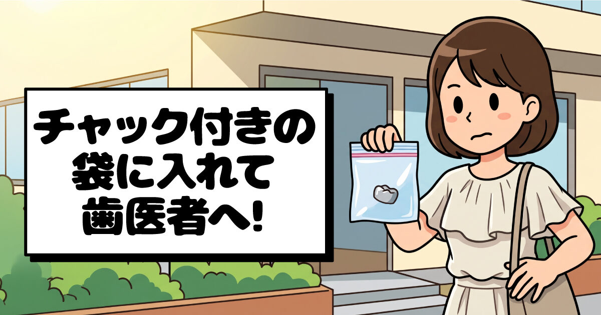 外れた修復物は捨てずに保管し、受診時にお持ちください。 外れた修復物は捨てずに保管し、受診時にお持ちください。